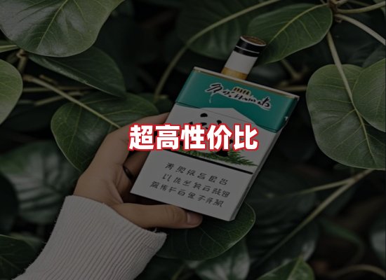 专业团队